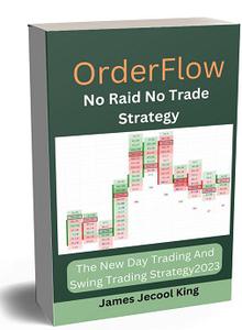 Order Flow No Raid No Trade Strategy  The New Day Trading And Swing Trading Strategy 2023