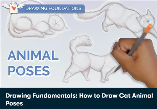 Drawing Fundamentals How to Draw Cat Animal Poses