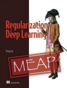 Regularization in Deep Learning (MEAP V04)