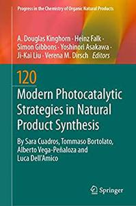 Modern Photocatalytic Strategies in Natural Product Synthesis