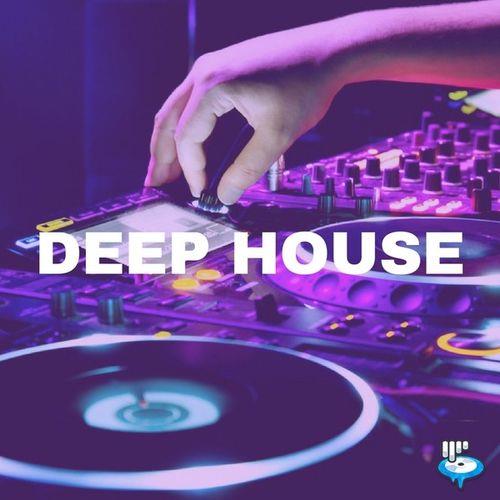 Deep House Hits 2023 Vol.2 (2022) FLAC