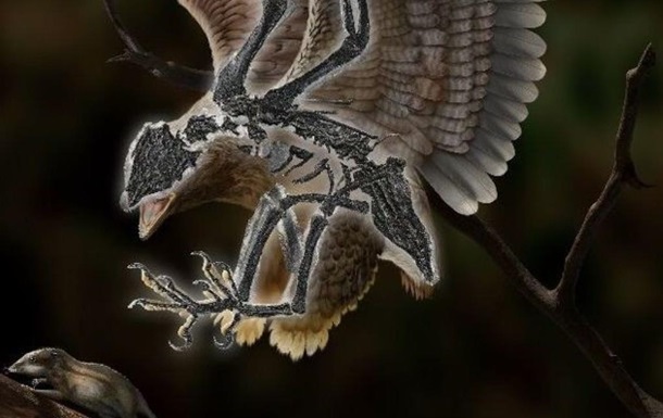Палеонтологи нашли птицу с головой динозавра