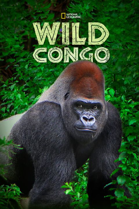 Kierunek Wild: Kongo / Wild Congo (2014) [SEZON 1 ] MULTi.1080p.DSNP.WEB-DL.x264-OzW / Lektor PL | Napisy PL
