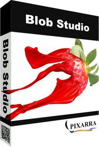 Pixarra TwistedBrush Blob Studio 4.17