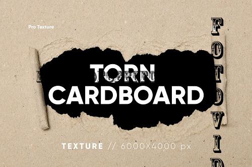 10 Torn Cardboard Texture - 11010485