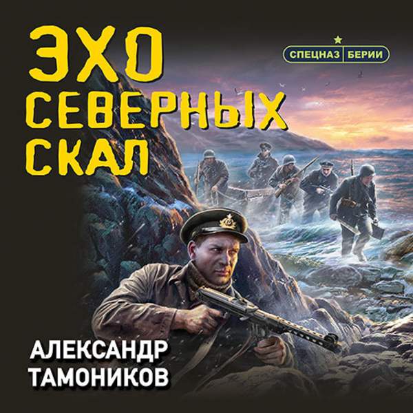 Александр Тамоников - Эхо северных скал (Аудиокнига)