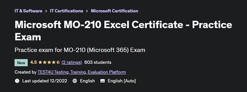 Microsoft MO-210 Excel Certificate – Practice Exam