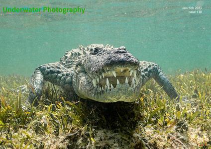 Underwater Photography - January/February 2023