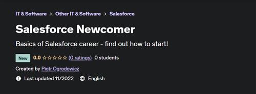 Salesforce Newcomer