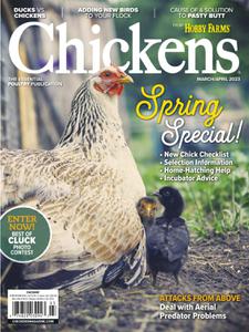 Chickens - March-April 2023