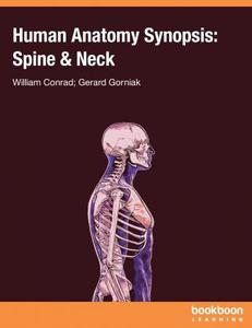 Human Anatomy Synopsis  Spine & Neck