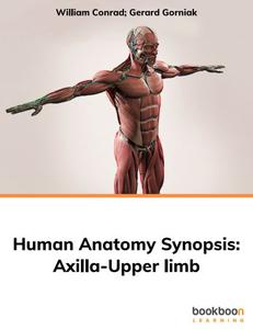 Human Anatomy Synopsis  Axilla-Upper limb