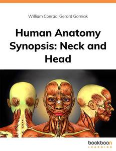 Human Anatomy Synopsis  Neck and Head