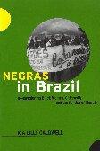 Negras in Brazil Re-envisioning Black Women, Citizenship, and the Politics of Identity