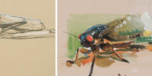 New Masters Academy – Drawing Insects, Tropical Animals, and Color Demonstration with Charles Hu