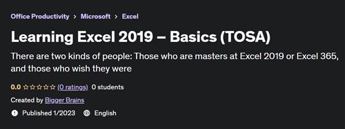 Learning Excel 2019 – Basics (TOSA)