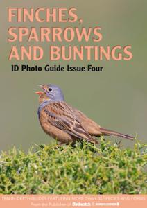 Bird ID Photo Guides - 13 January 2023