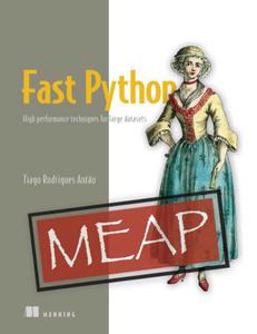 Fast Python High performance techniques for large datasets (MEAP V10)
