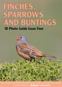 Bird ID Photo Guides - 09 January 2023