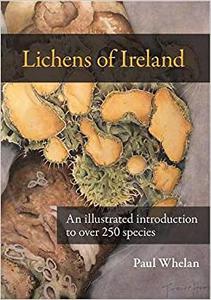 The Lichens of Ireland An Illustrated Introduction to Over 250 Species 