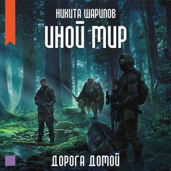 постер к Шарипов Никита - Иной мир. Дорога домой (Аудиокнига)