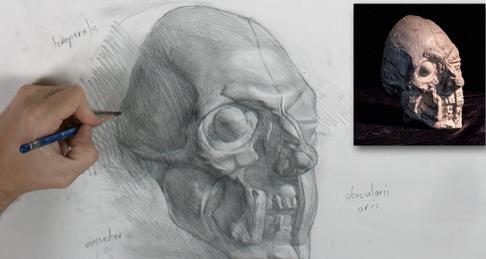 How to Draw the Muscles of the Face with Iliya Mirochnik