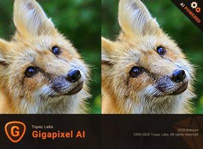 Topaz Gigapixel AI 6.3.2 (x64)