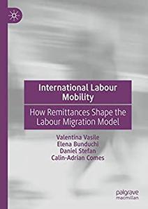 International Labour Mobility How Remittances Shape the Labour Migration Model
