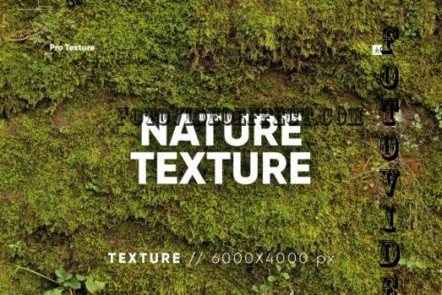 20 Nature Texture HQ - 12165021
