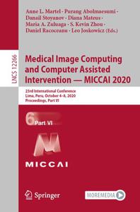 Medical Image Computing and Computer Assisted Intervention - MICCAI 2020 (Part VI)