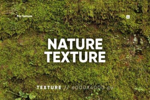 20 Nature Texture HQ - 12165021