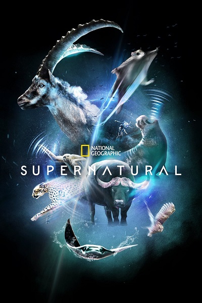 / / Super/Natural [1 ] (2022) WEB-DL 2160p | HEVC | Dolby Vision | P | NewComers