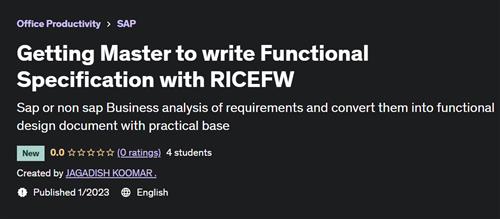 Getting Master to write Functional Specification with RICEFW