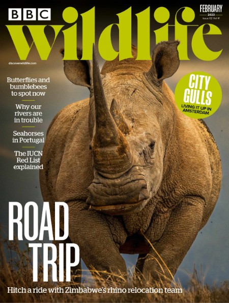 BBC Wildlife - February 2023