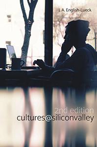 Cultures@SiliconValley Second Edition