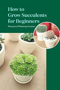 How to Grow Succulents for Beginners Planning and Maintaining Succulents How to Grow and Maintain Succulents