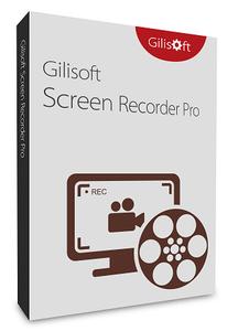 GiliSoft Screen Recorder Pro 11.8 Multilingual (x64) 