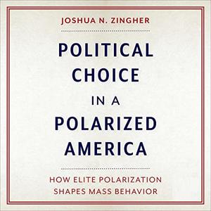 Political Choice in a Polarized America How Elite Polarization Shapes Mass Behavior [Audiobook]