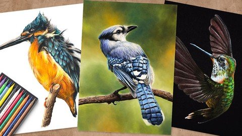 3 Little Birds With Colored Pencils - Udemy