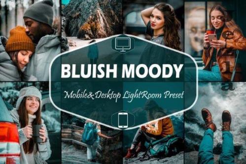 10 Bluish Moody Mobile & Desktop Lightroom Presets,Blue Tone - 2400793