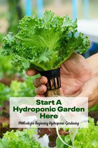 Start A Hydroponic Garden Here Methods for Beginning Hydroponic Gardening