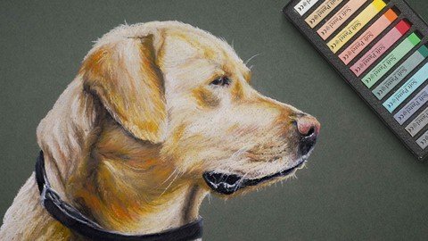Animals With Pastels - Udemy