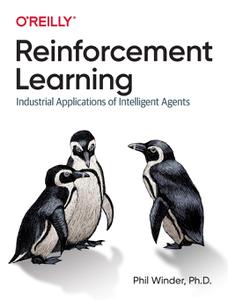 Reinforcement Learning Industrial Applications of Intelligent Agents