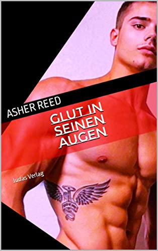 Cover: Reed, Asher  -  Glut in seinen Augen: Grenzenlose Romantik für Gays