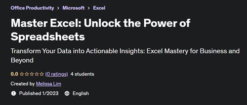 Master Excel Unlock the Power of Spreadsheets - Udemy