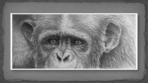 Drawing From Photographs - Grid Drawing Method Made Simple! - Udemy