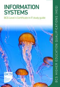 Information Systems  BCS Level 4 Certificate in IT study guide