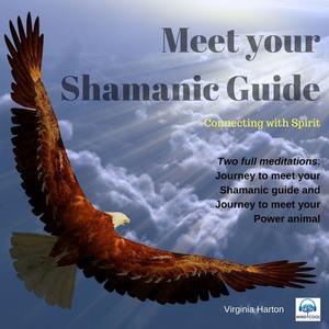 Meet Your Shamanic Guide by Virginia Harton