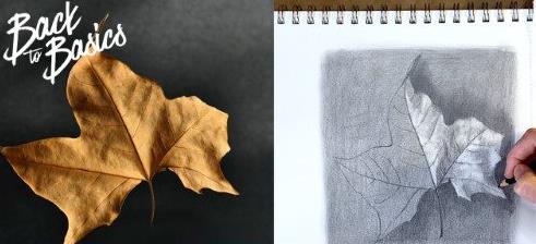 Back To Basics Use Value To Render Light and Shadow in Pencil Drawings - Udemy