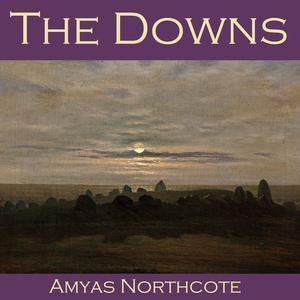 The Downs by Amyas Northcote